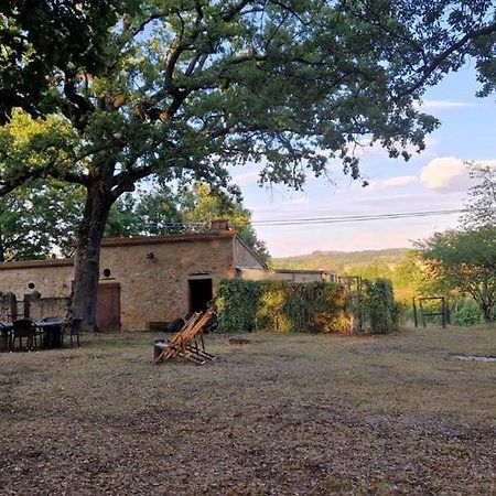 Agriturismo Torrenieri Da Alessandro Pienza Exteriör bild