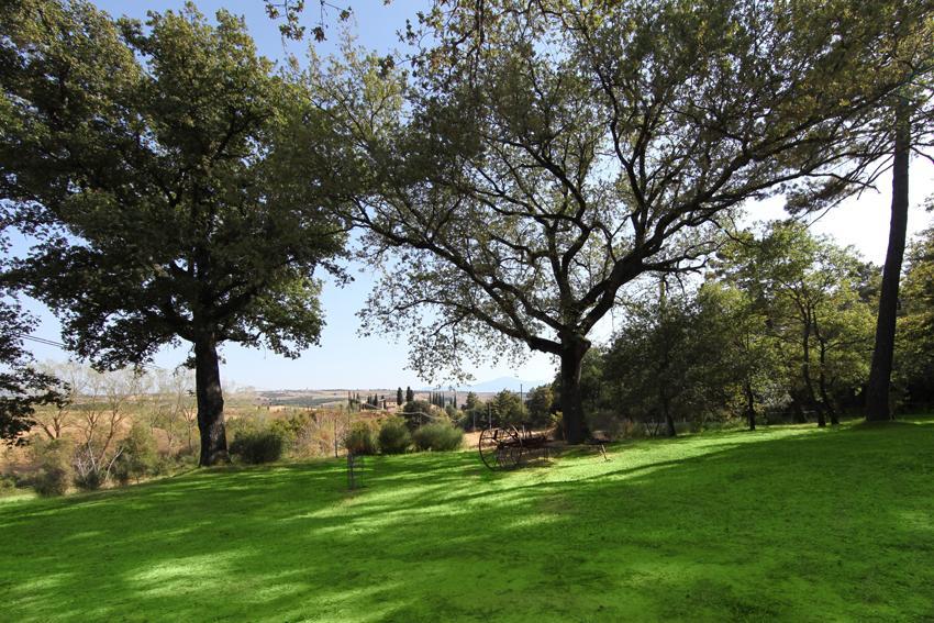 Agriturismo Torrenieri Da Alessandro Pienza Exteriör bild